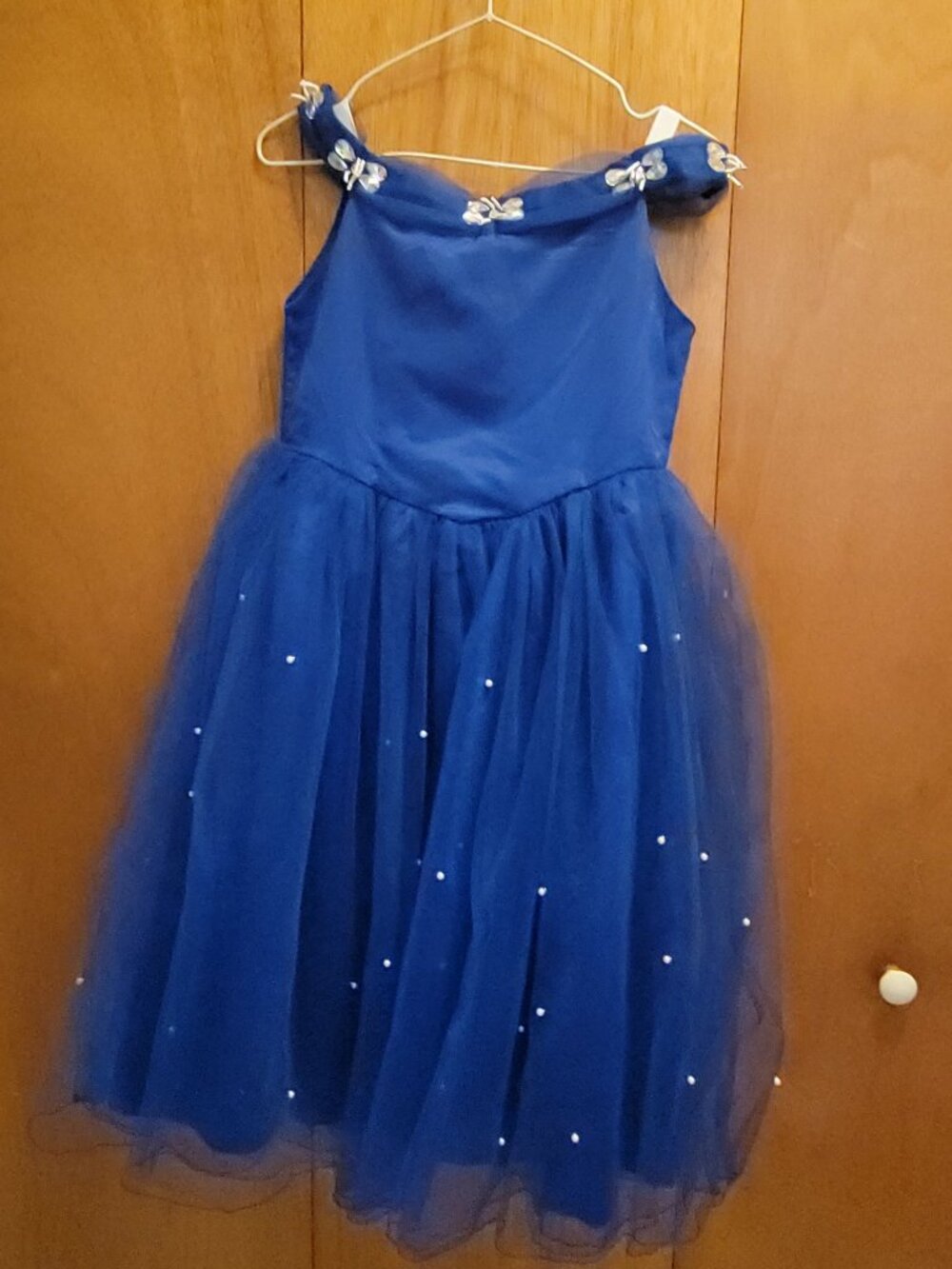 Blue princess dress